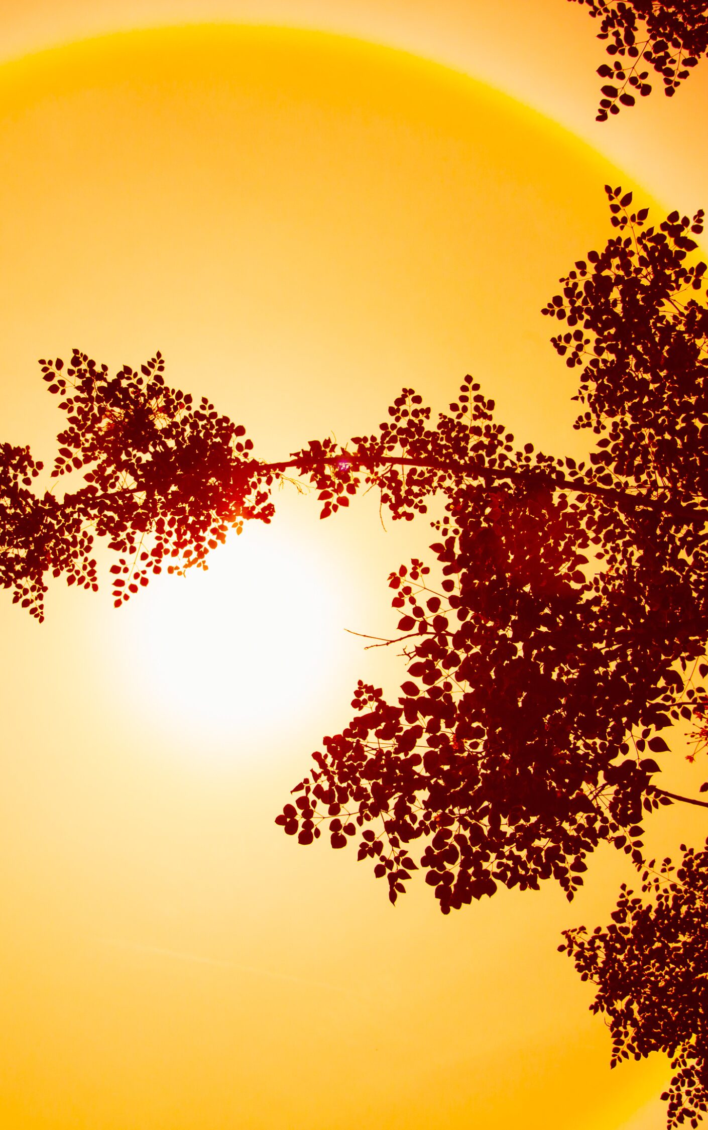 Health Tips: Hot Weather and Skin